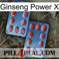 Ginseng Power X 05